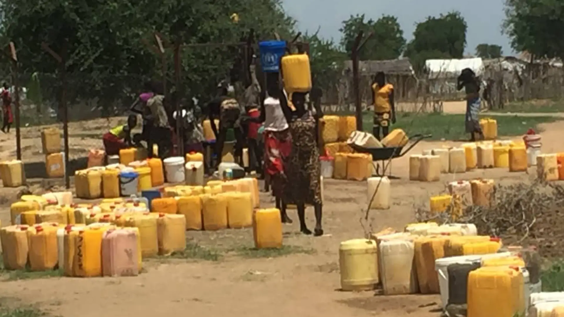 Rows of jerrycans at a busy water collection point serving displaced people in Lakes State